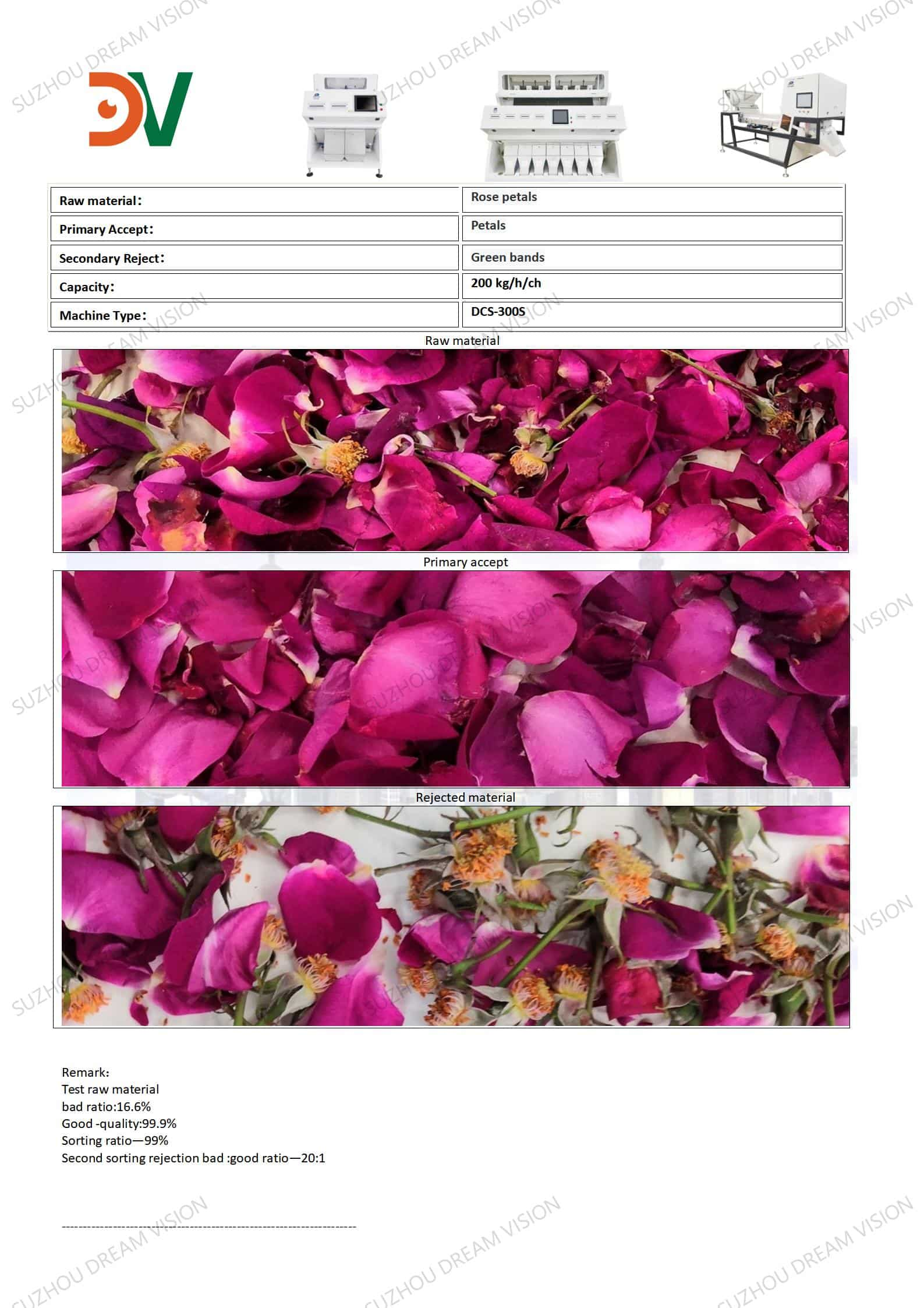 Rapport de test des roses