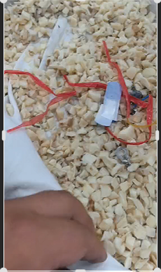 Foreign Matter Removal from Diced Bamboo