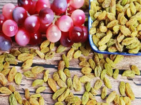Solution de tri des couleurs des raisins secs